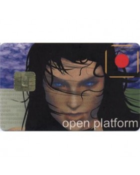 Carte à puce vierge FUN 2