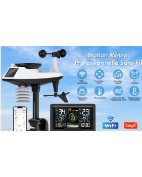 Station Météo Complète : Vent, Pluie, Température et Prévisions