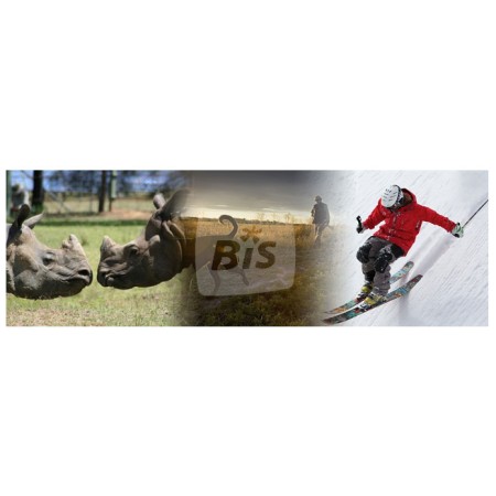 Récepteur Technisat S5 et module + carte Bis TV Panorama 12 mois