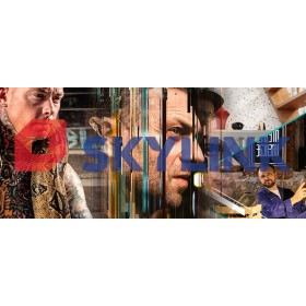 Skylink Smart 12 mois + récepteur CI+ HD + module Chaînes tchèques