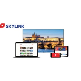 Skylink Kombi 12 mois + récepteur CI+ HD + module Chaînes tchèques