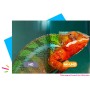 Récepteur Satellite 4K SEDEA SF-4400 UHD FRANSAT