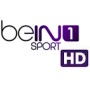 Réabonnement BIS TV Panorama + Cinérama + beIN SPORT HD 12 mois