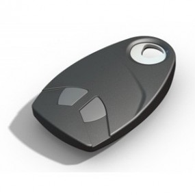 Télécommande 2 canaux  noire - INTRATONE