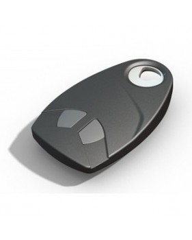 Télécommande 2 canaux  noire - INTRATONE