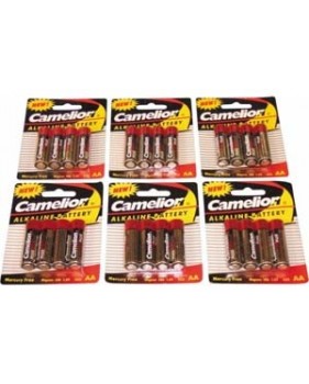 Lot de 24 Piles alcaline AA - LR6 - 1.5V - 2600mAh - camelion