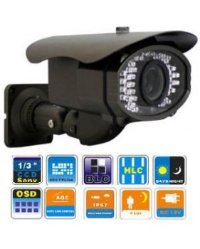 Caméra couleur J/N extérieur CCD 1/3" - 700 LTV - Angle de vue 100° - avec vision nocturne de 50m