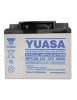 Batterie plomb AGM NPC38-12 YUASA 12V 38Ah
