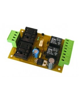 Module relais pour 2 détecteurs de boucle magnétique - 12V à 24V