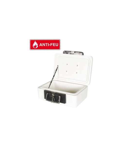 coffre ignifugé portable - mallette pour protection contre incendie anti feu