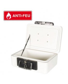 coffre ignifugé portable - mallette pour protection contre incendie anti feu