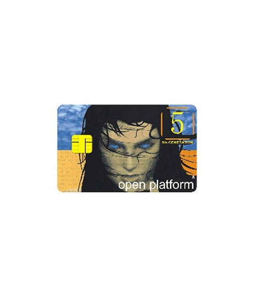 CARTE VIERGE DE contact de carte à puce de puce de PVC d'OIN et de