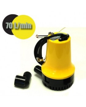 Pompe submersible solaire 12 Volts 70 L/min