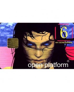 Carte à puce vierge FUN 6