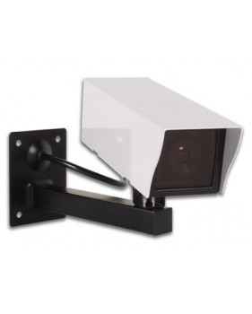 Caméra factice dissuasive - étanche - boîtier métallique -  LED clignotante  - extérieur