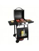 Barbecue gaz sur pieds - 2 Brûleurs 6 kW - DomoClip DOC151