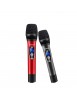 Paire microphone Karaoké Sans Fil UHF Double Canal Portatif