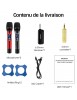 Paire microphone Karaoké Sans Fil UHF Double Canal Portatif