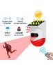 Alarme infrarouge intérieure extérieure intelligente solaire Wifi