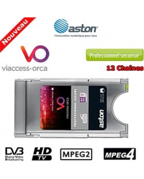 Module PCMCIA Sécurisé Viaccess Professionnel MPEG2/MPEG4 - décrypte jusqu’à 12 chaînes TV
