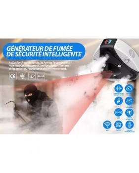 Générateur de Brouillard Sécurité Antivol Sans fil  Wifi Caméra Surveillance JT-043S 360° HD 1080P