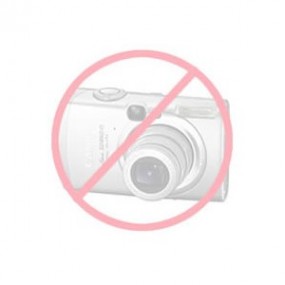 Ecran LCD de remplacement pour SATLOOK ICE