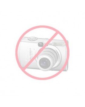 Ecran LCD de remplacement pour SATLOOK ICE