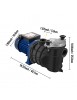 Pompe de Piscine Pompe de Filtration Circulation Hors Sol 18000LH 750W