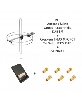 KIT Antenne mixte omnidirectionnelle DAB FM + Coupleur TRIAX MFC 401 Ter Sat UHF FM DAB + 6 Fiches F