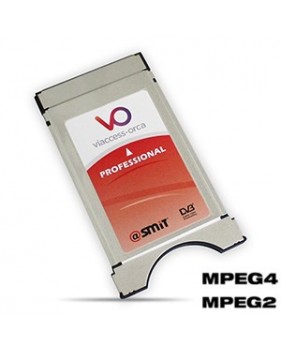 Module PCMCIA Viaccess SMIT Professionnel - DVB-CI - MPEG2/MPEG4 - décrypte jusqu'à 8 chaînes