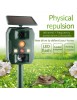 Répulsif à Ultrasons Solaire Anti-nuisible pour chiens et chats, tueur d'insectes, de cafards, de moustiques, d'oiseaux, mouches
