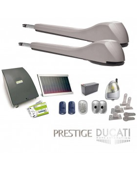 Kit Motorisation Portail Solaire Ducati Home Automation EVE 948T SOLAR - pour portails à 2 vantaux battants max 5m 500kg chacun