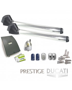 Kit Motorisation Portail Automatisme Ducati Home Automation EVO 748