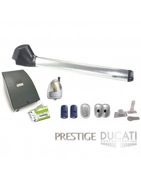 Kit Motorisation Portail Automatisme Ducati Home Automation EVO 748 MONO