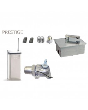 Kit Motorisation Portail Automatisme Ducati Home Automation GEO 1048B Mono - Pour portails battants