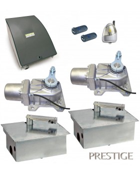 Kit Motorisation Portail Automatisme Ducati Home Automation GEO 548B - pour ouvre-portail double vantaux jusqu’à 2,5m chacun