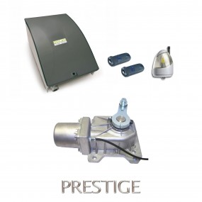 Kit Motorisation Portail Automatisme Ducati Home Automation GEO 548 MONO