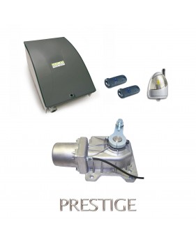 Kit Motorisation Portail Automatisme Ducati Home Automation GEO 548 MONO - Pour portail battant 1 vantail