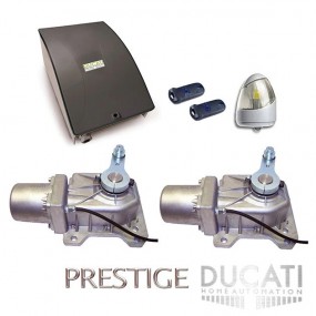 Kit Motorisation Portail Automatisme Ducati Home Automation GEO 548