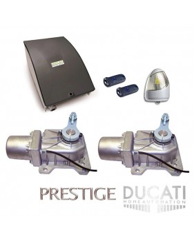 Kit Motorisation Portail Automatisme Ducati Home Automation GEO 548