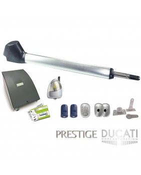 Kit Motorisation Portail Automatisme Ducati home Automation EVO 748 T MONO