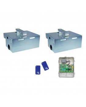 Kit Motorisation Portail Automatisme EA Basic E4000B180 Enterré