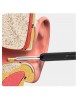 Nettoyeur d'oreille Visuel Intelligent NP20