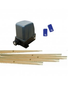 Kit Motorisation Portail Coulissant A Encodeur EA CL1010CN Basic