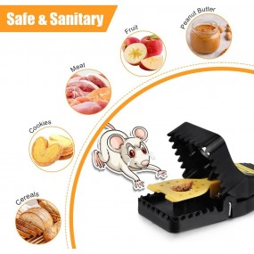 Piège à Rats Professionnel : Réutilisables pour une Chasse aux Souris Pratique.