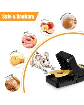 Piège à Rats Professionnel : Réutilisables pour une Chasse aux Souris Pratique.