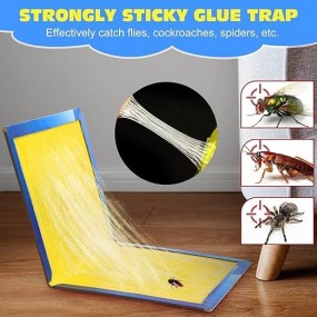 Plaque Collante Souris, Plaque Glue Rat : Plaque Anti Souris & Anti Rat.