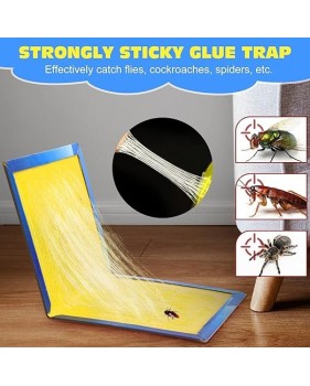 Plaque Collante Souris, Plaque Glue Rat : Plaque Anti Souris & Anti Rat.