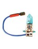 Lampe électrique halogène 6V - 55W - pour torche électrique rechargeable