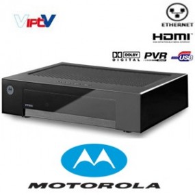 Abonnement IP VIPTV HD - 12 mois - 40 chaînes Adultes - Live XXX